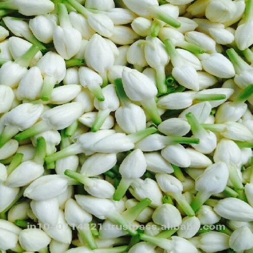 jasmine petals